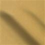 cassia - ochre