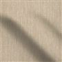findon - shell