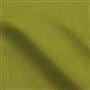cassia - moss