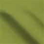 cassia - apple
