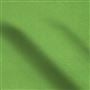 cassia - grass