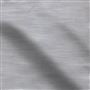 pampas - zinc