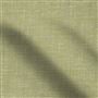 cosia - olive