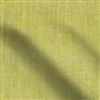 cosia - leaf