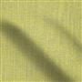 cosia - lime