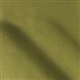 sahara - moss