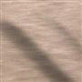 pampas - spice