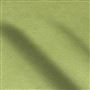 mojave - grass