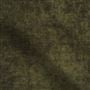 zaragoza - olive