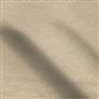 mojave - putty