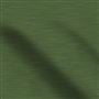 Pampas Fern