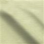 pampas - alchemilla