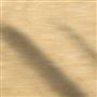 pampas - butterscotch