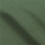 savanna - forest