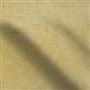 zaragoza - honey