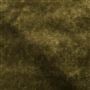 Pavia - Olive