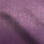 Canzo - Crocus