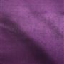 Canzo - Violet