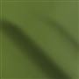 Matara Leaf