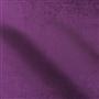 Vicenza Plum