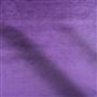 Vicenza Violet