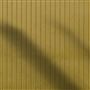 Cassia Cord Fern