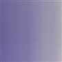 Capisoli - Lavender Cutting