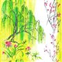 Willow fleurs - Acacia Lithos
