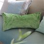 aurelia - grass