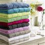 Coniston Acacia Towels