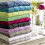 Coniston Birch Towels