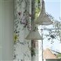 Saverne - Camellia