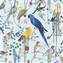 birds sinfonia source