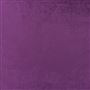 vicenza - plum