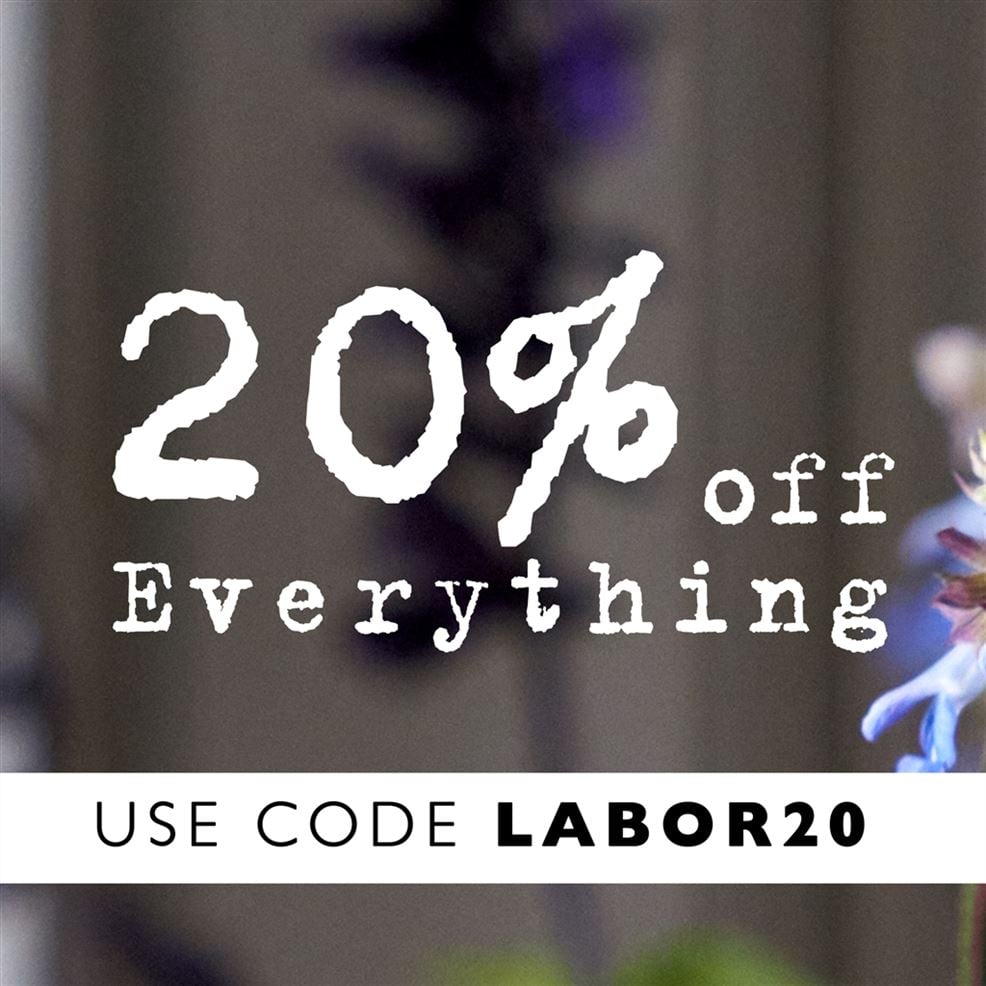 Shop Home Accessories Online
