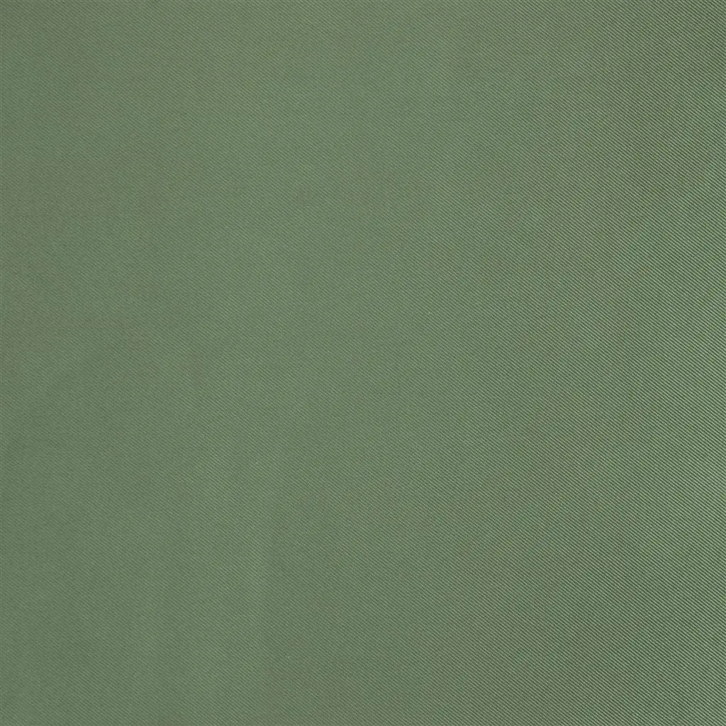Satinato - Basil Cutting