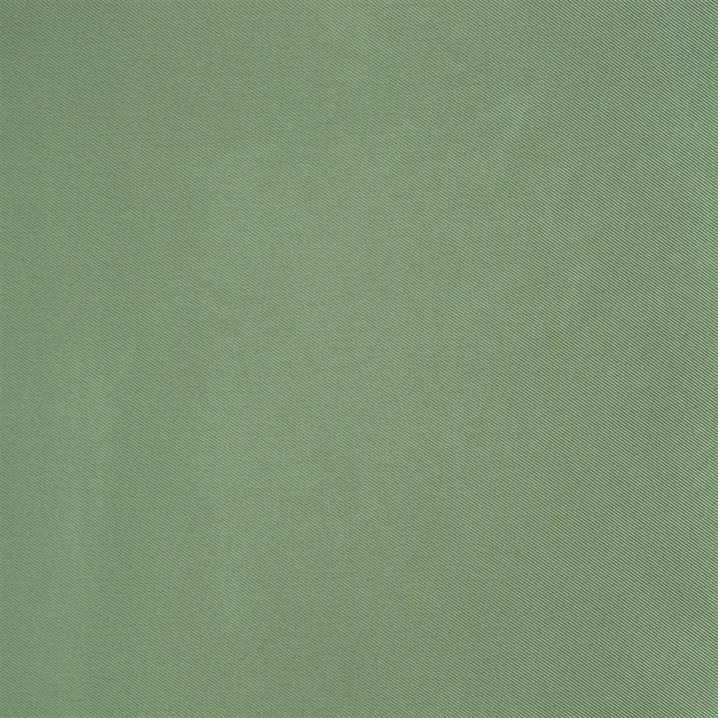 Satinato - Aloe Cutting