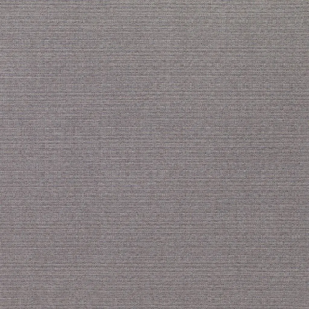 sancha - bilberry