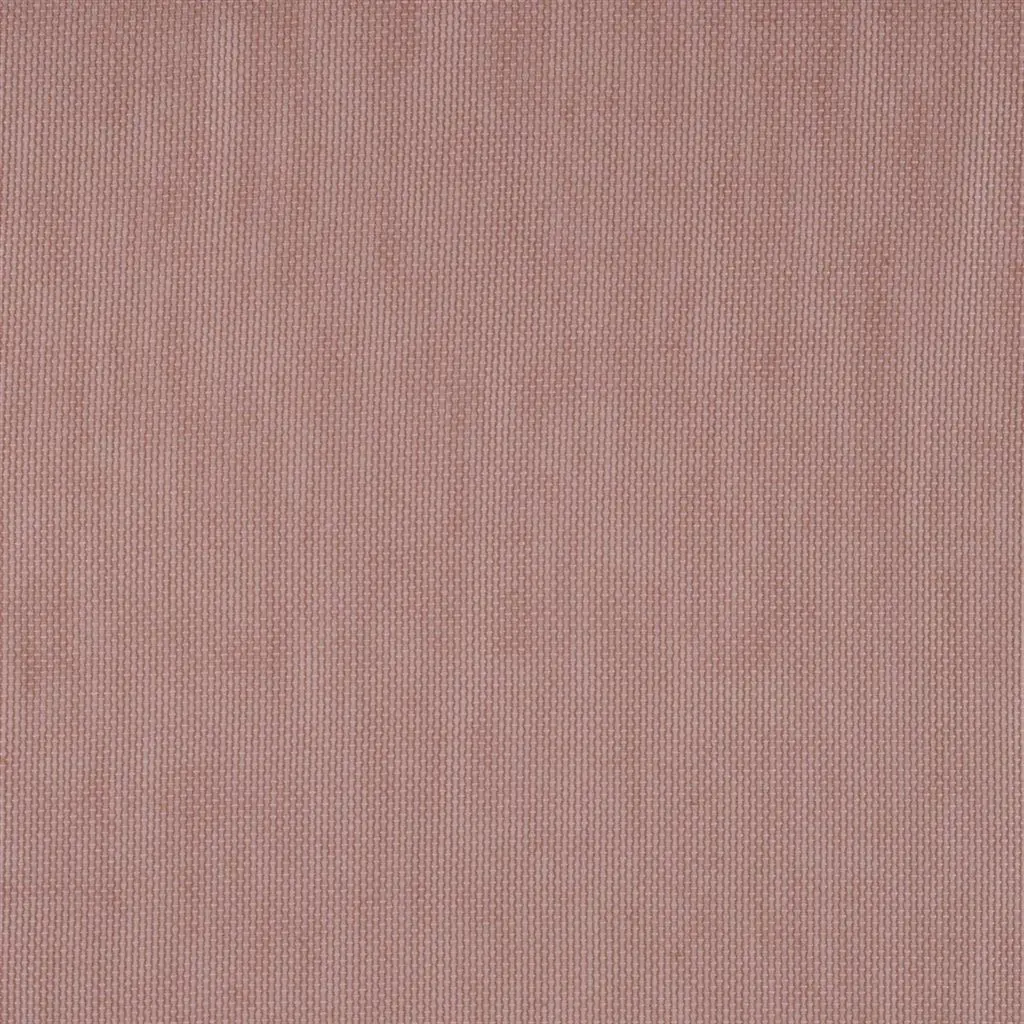 Mayer - Rose Cutting