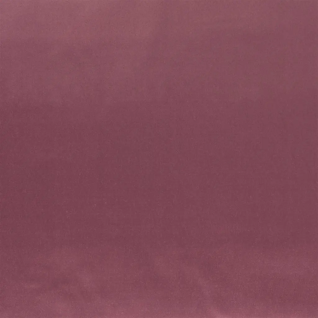Patia - Damson Cutting