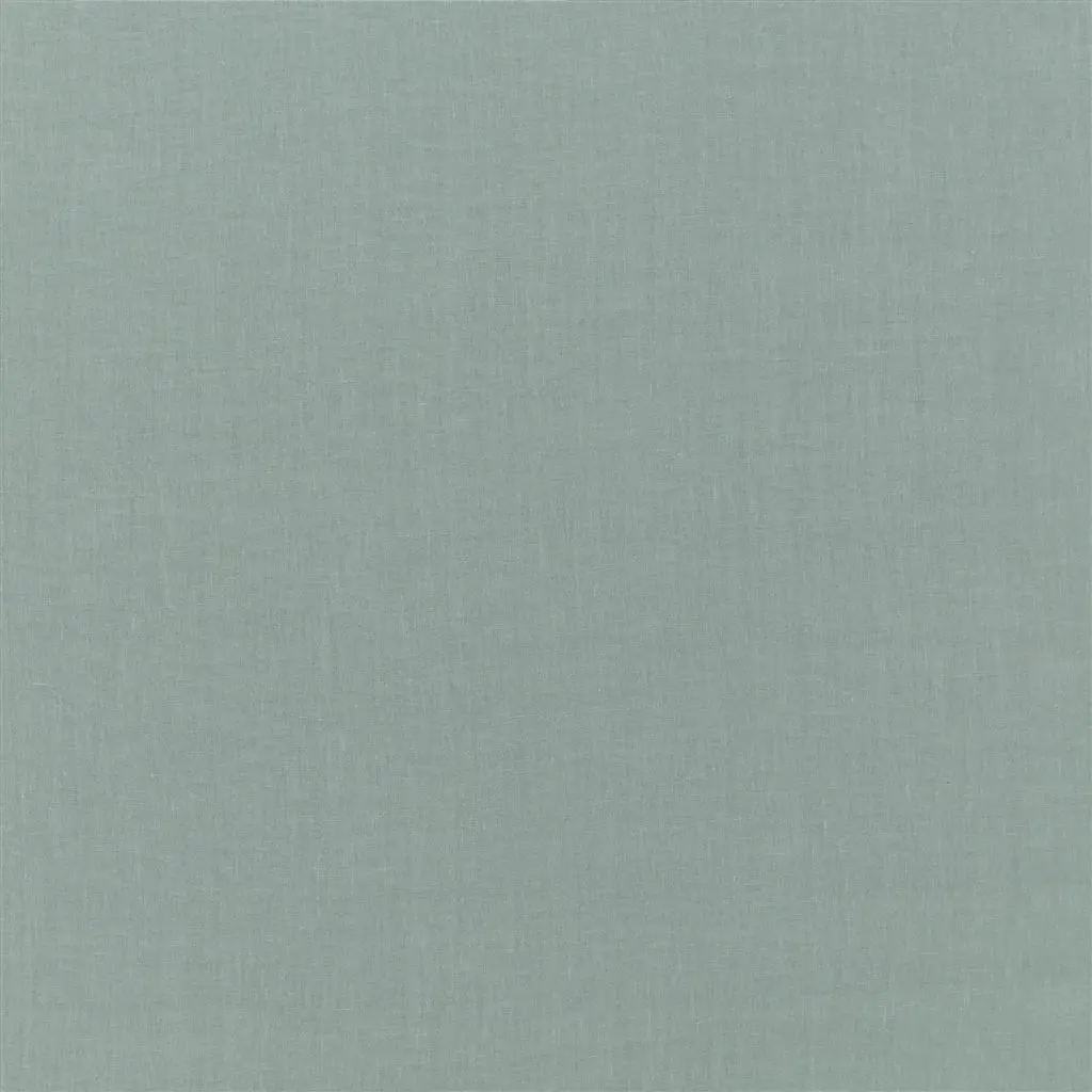 valloire - duck egg