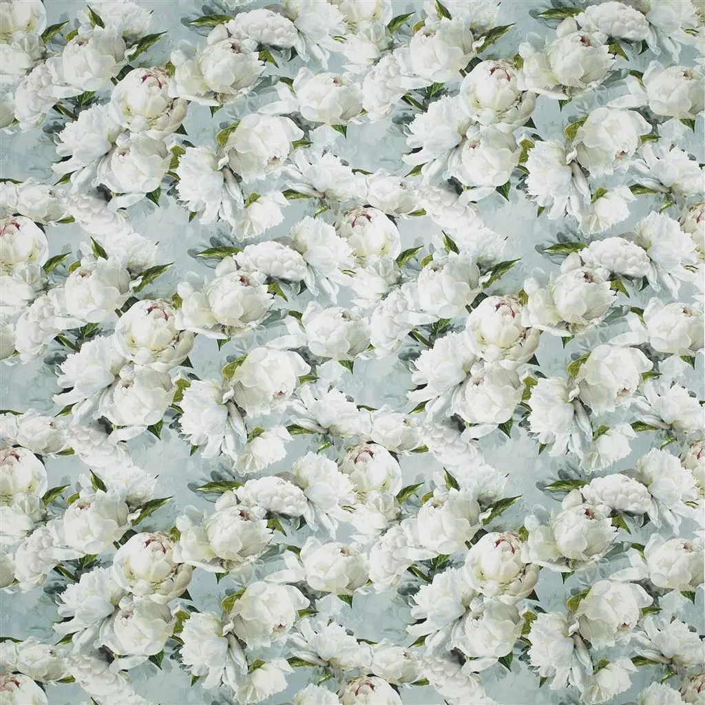peonia lino - zinc