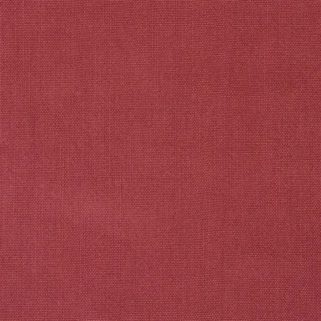 Alaro - Sienna Cutting