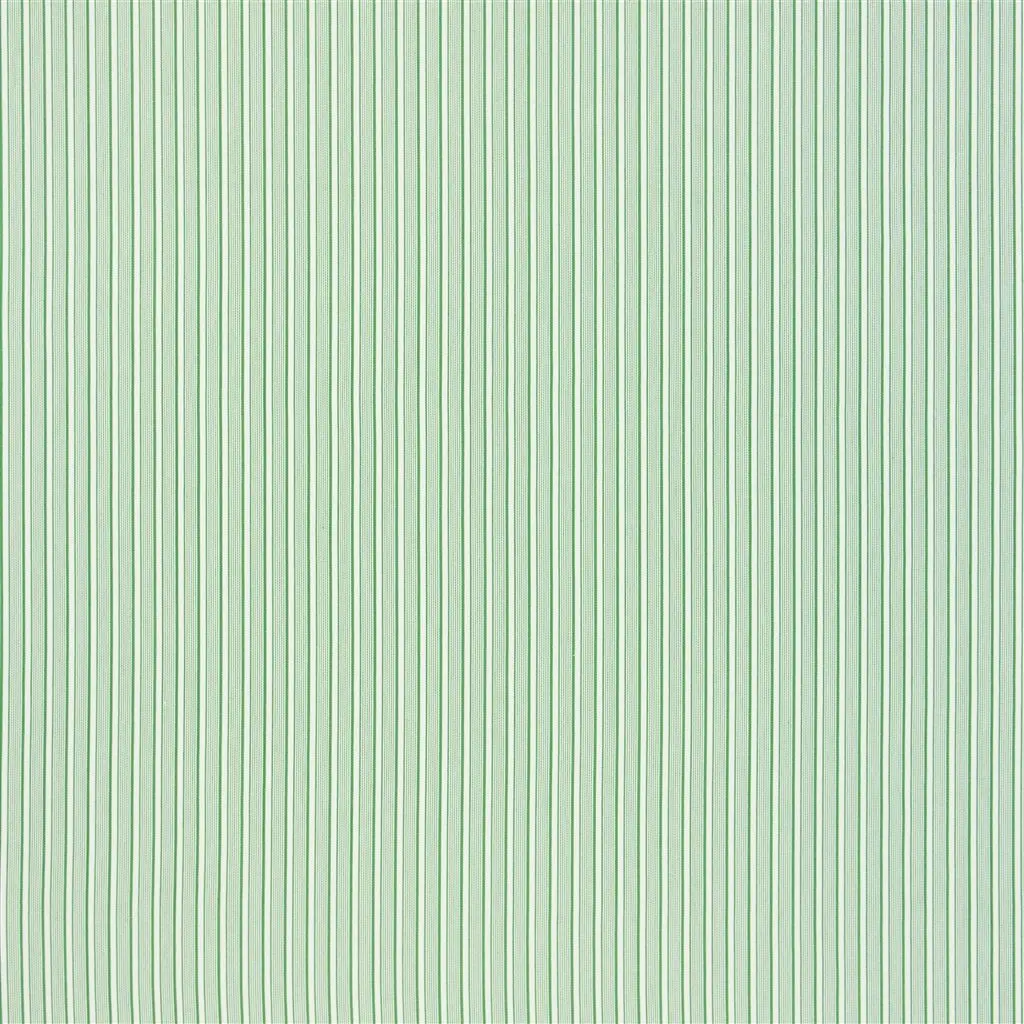 Cord - Forest Cutting