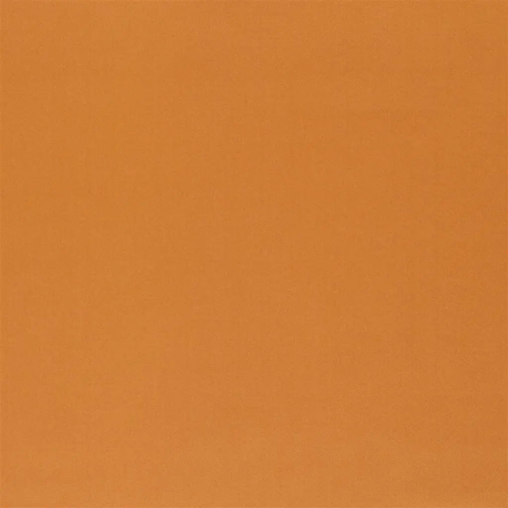 Tiber Alta - Saffron Cutting