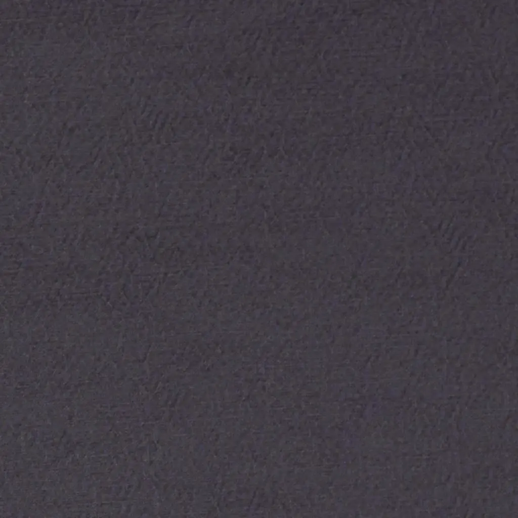 anshu - plum