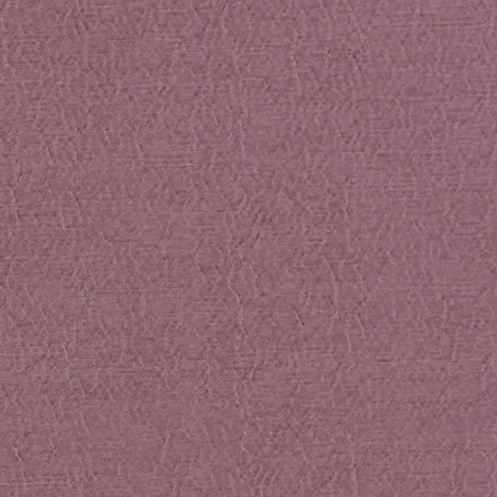 anshu - orchid