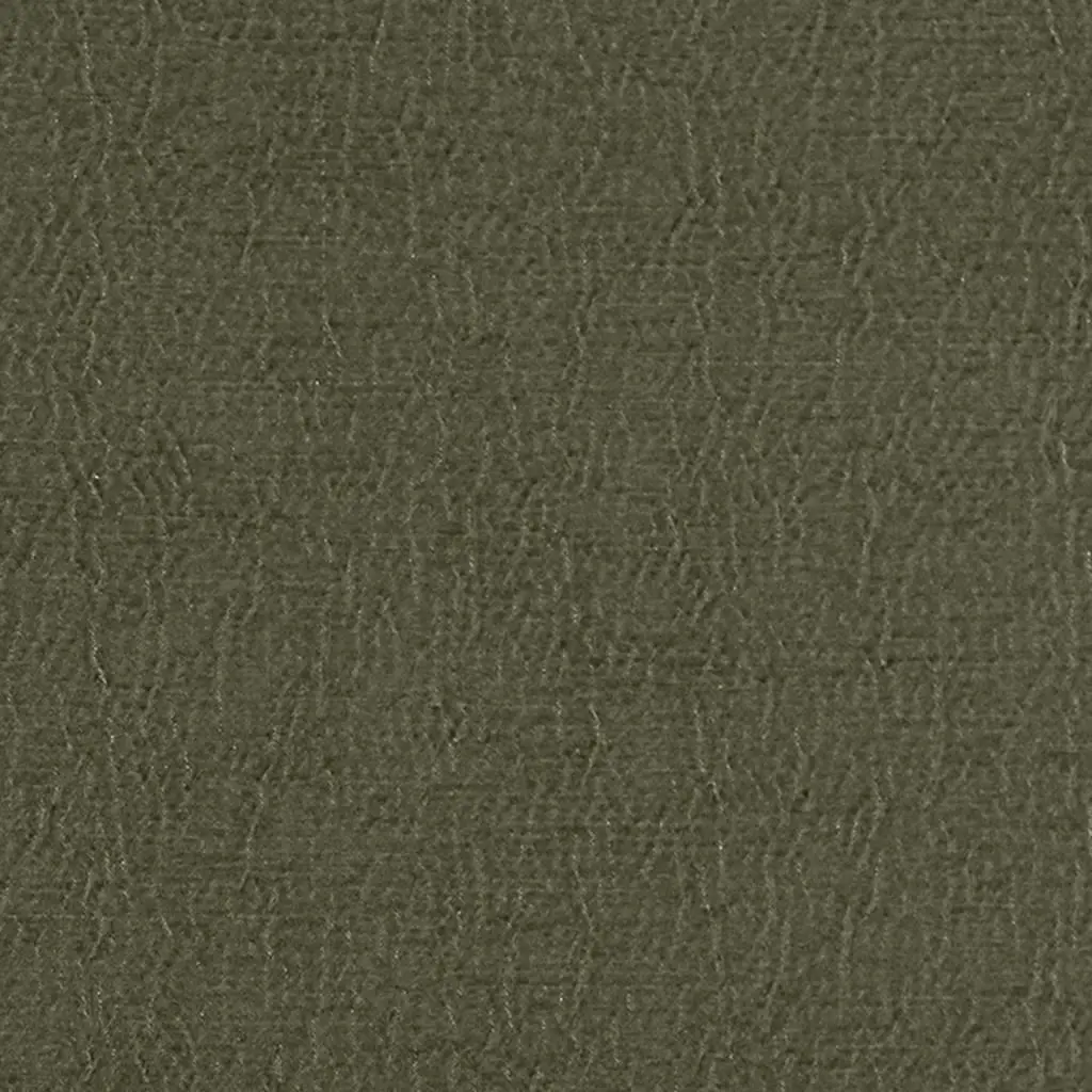 anshu - fir