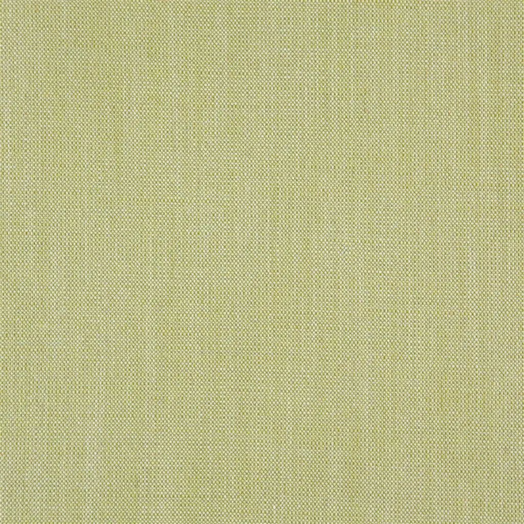 skye - pale moss