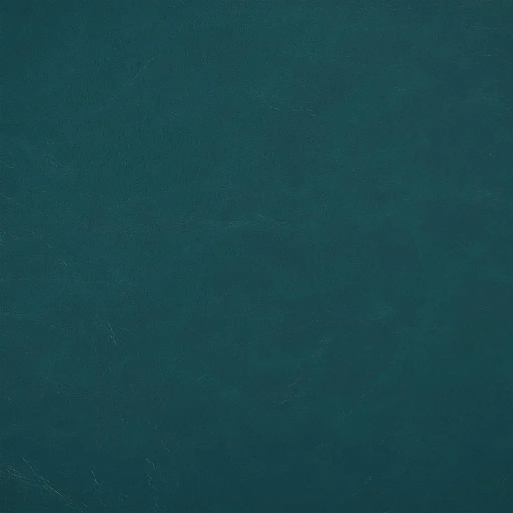 matara lucida - ocean